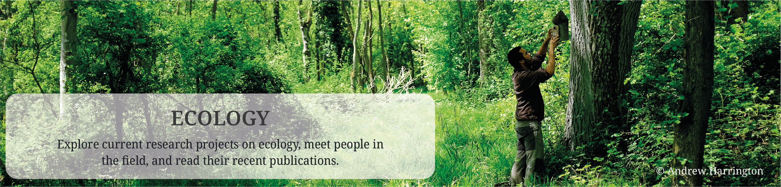 Ecology banner