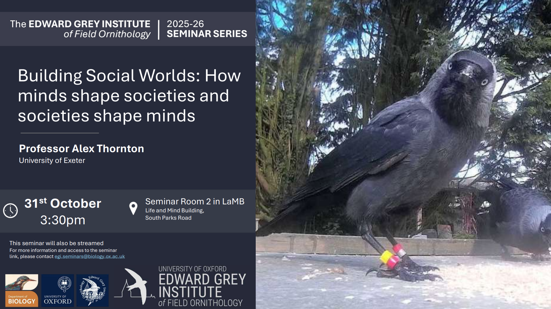 Building Social Worlds: How minds shape societies and societies shape minds  | Edward Grey Institute