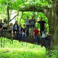 2015 field team
