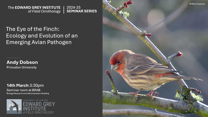Andy Dobson seminar poster