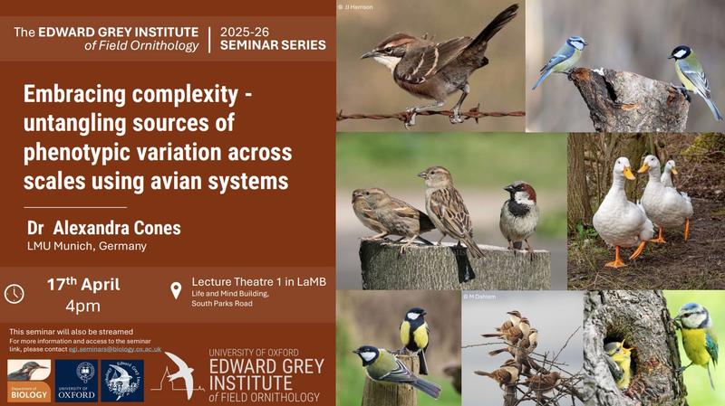 screenshot 2026 03 31