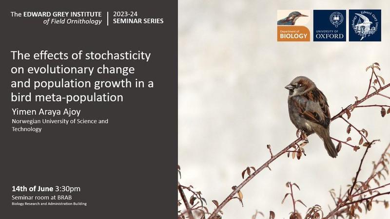 poster for Yimen's seminar