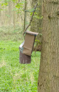 Modified nestbox