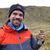 dr alexander bond medium