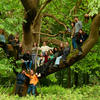 The 2024 field team of the Wytham Tit Study