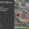 Andy Dobson seminar poster